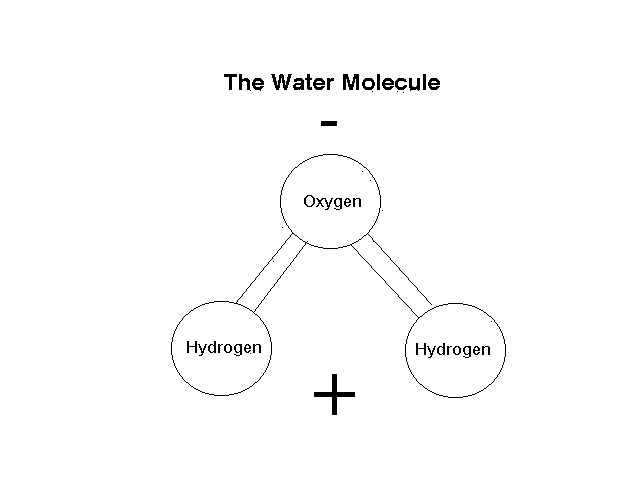 water molecule structure for kids
